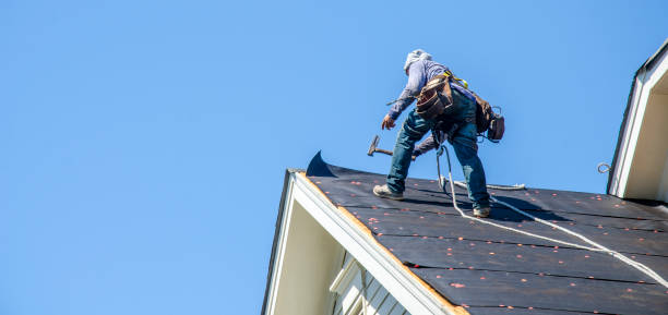 Best Roof Gutter Cleaning  in North Richmond, CA